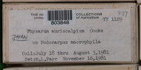 Image Associated With the Occurence